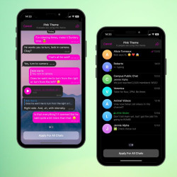 Pink Theme