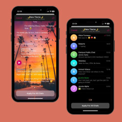 New Theme IOS