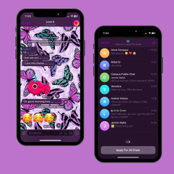 Purple butterflies