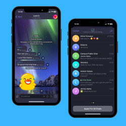 Night sky theme
